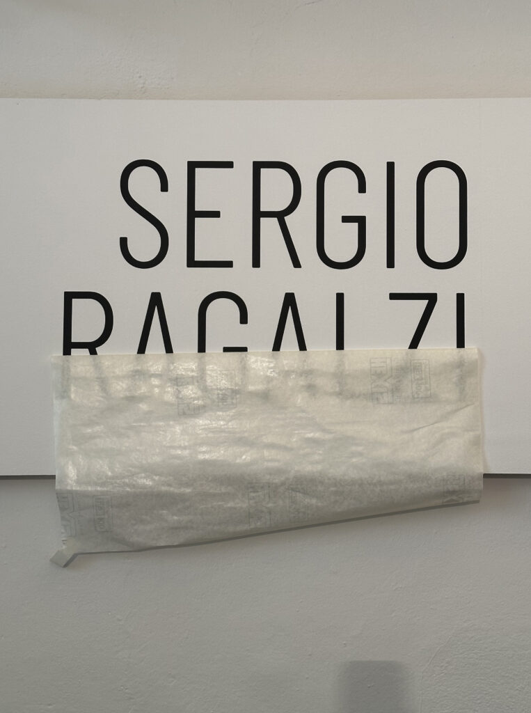 Sergio Ragalzi - Tutte le nostre scimmie. Galleria d'Arte Niccoli